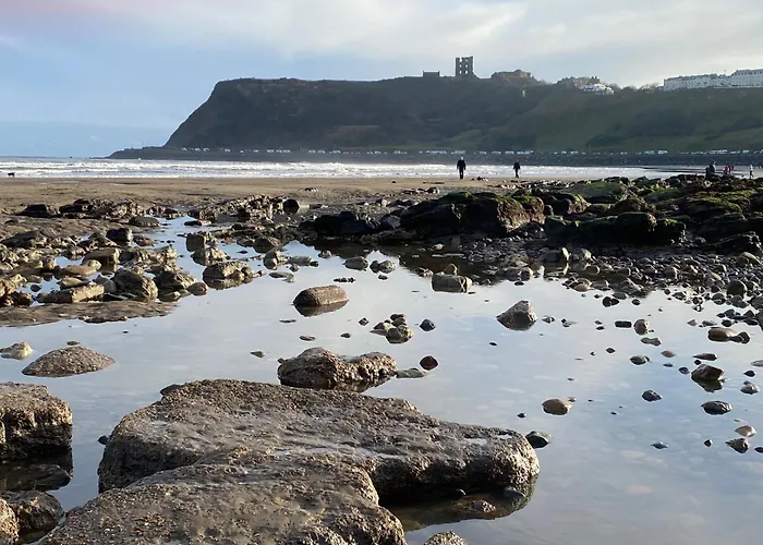 Tunny Cottage In Old Town Scarborough